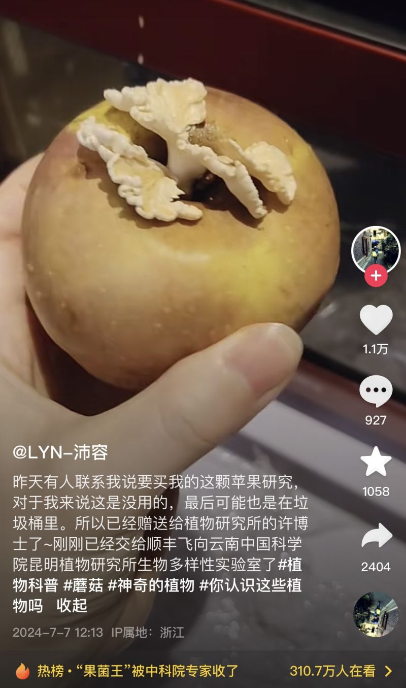 一颗长蘑菇的苹果，何以引发一场科普“追更潮”？