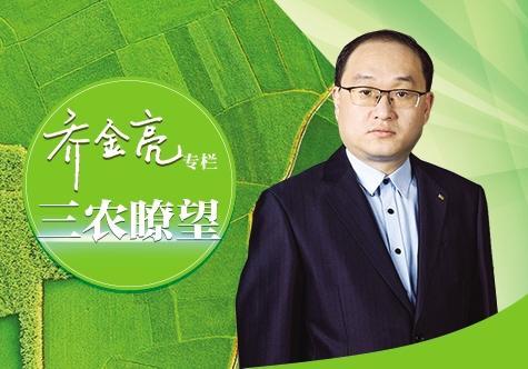 拍出48万元！从种牛“标王”看畜禽种业新突破